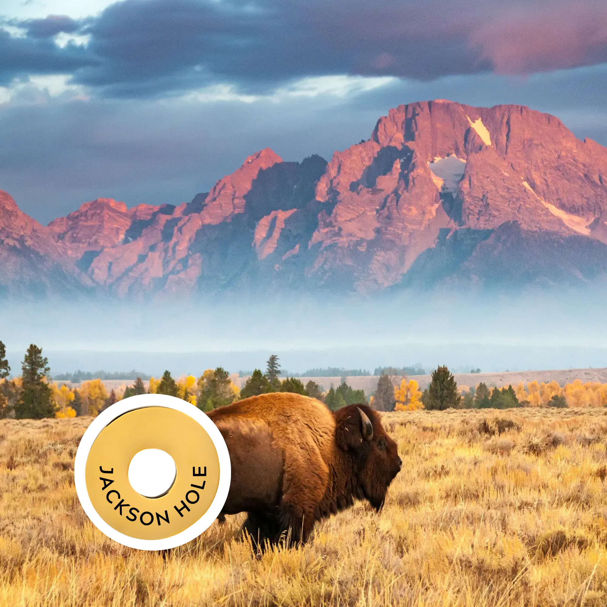 Jackson Hole engraved city travel ring