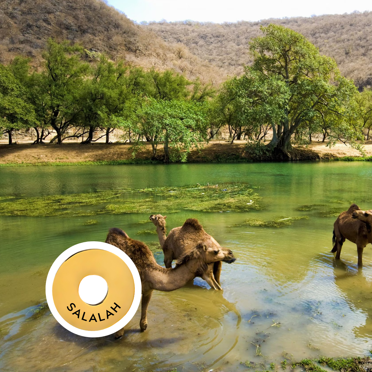 Salalah engraved city travel ring