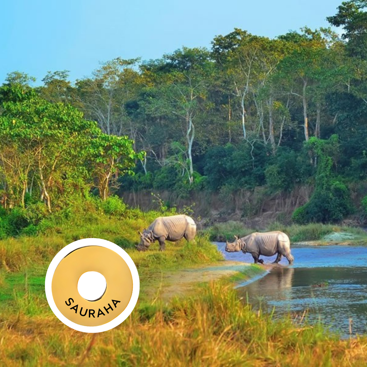 Sauraha engraved city travel ring