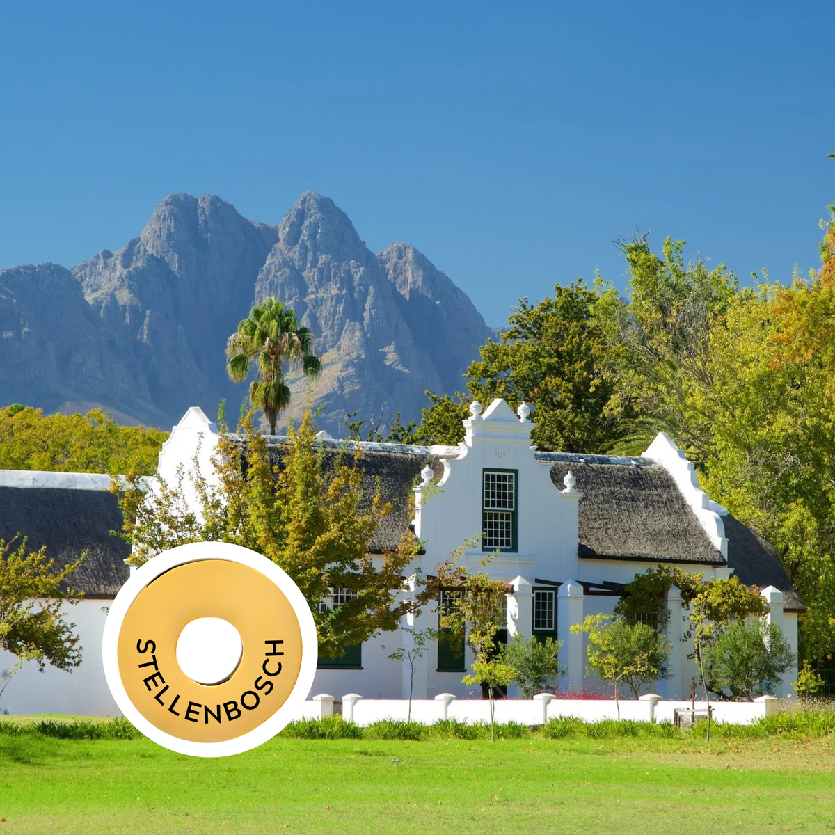 Stellenbosch engraved city travel ring