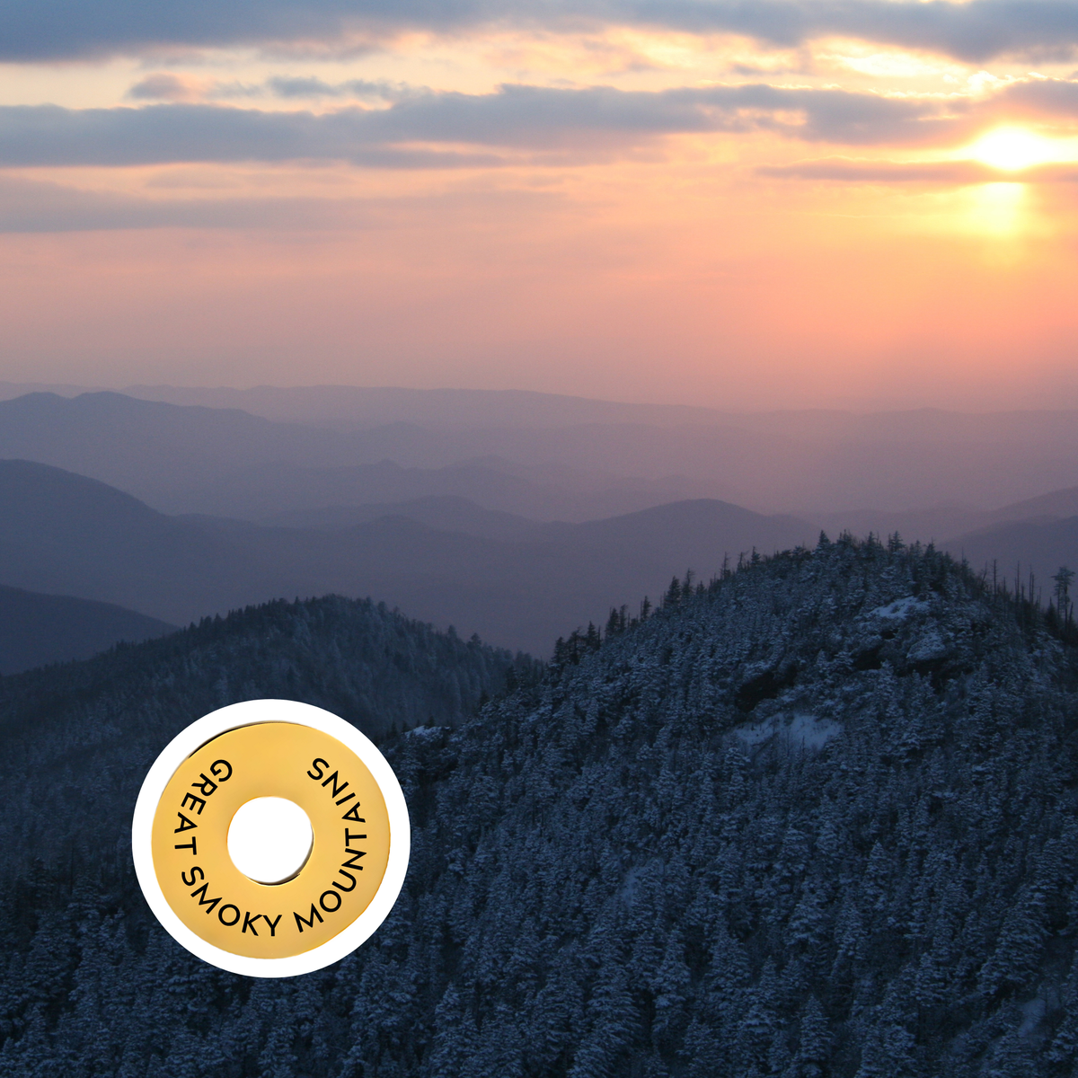 Great Smoky Mountains engraved city travel ring