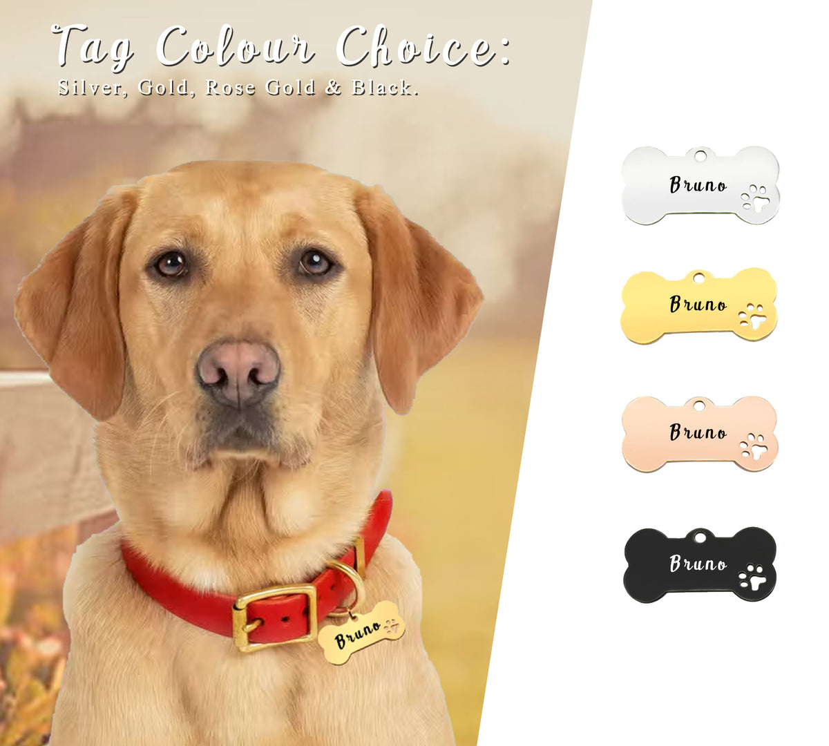 Bone Shape with Paw Pet ID Tag