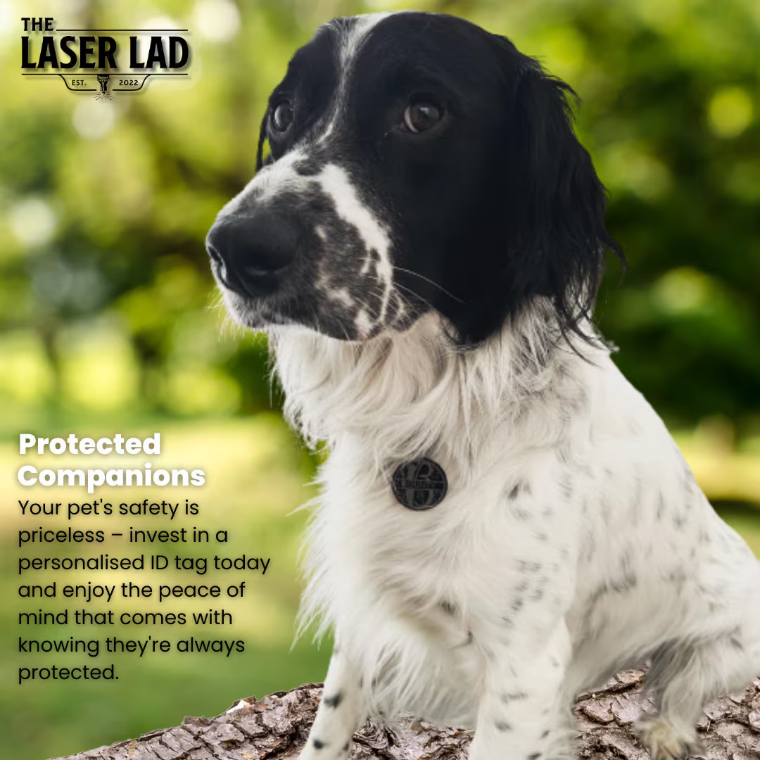 Round Pet ID Tag