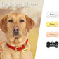 Bone Shape with Paw Pet ID Tag